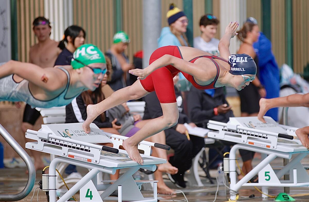 Palisades freshman Alexis Burrell jumps from the block in the 500 freestyle at the City Section swim finals on May 4, 2024.