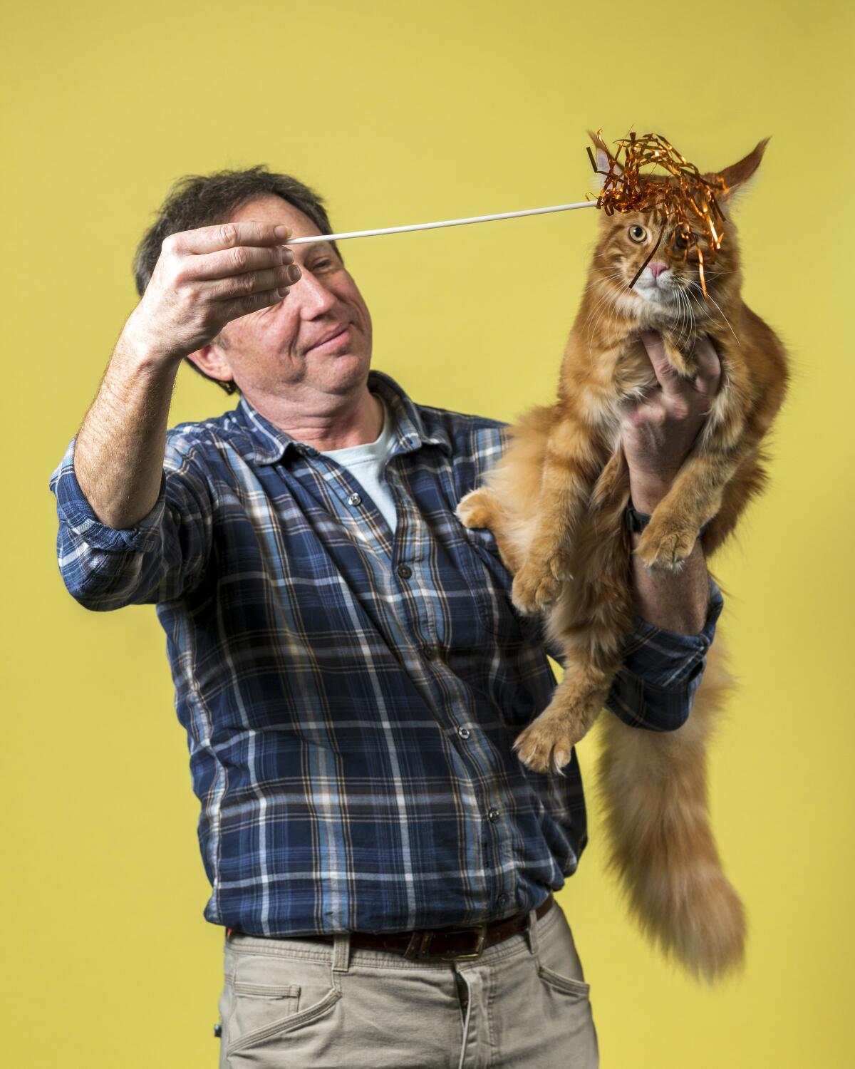 Jeff Muss holds his Maine Coon named Caesar and a toy with ribbons on a stick in front of the cat.