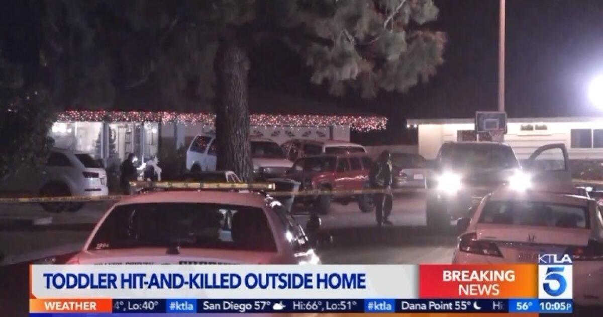Toddler struck and killed by car backing out of neighbor's driveway in ...