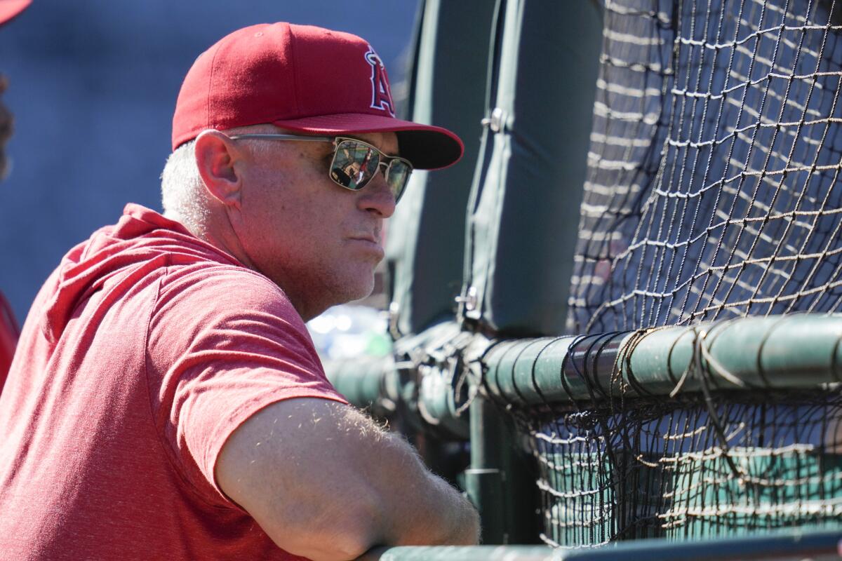 Angels manager Phil Nevin watches batting practice.