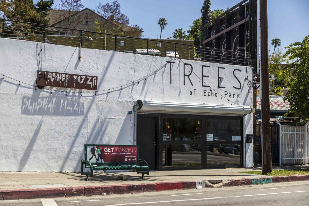 The exterior of the Trees of Echo Park dispensary with aq string of lights across the front