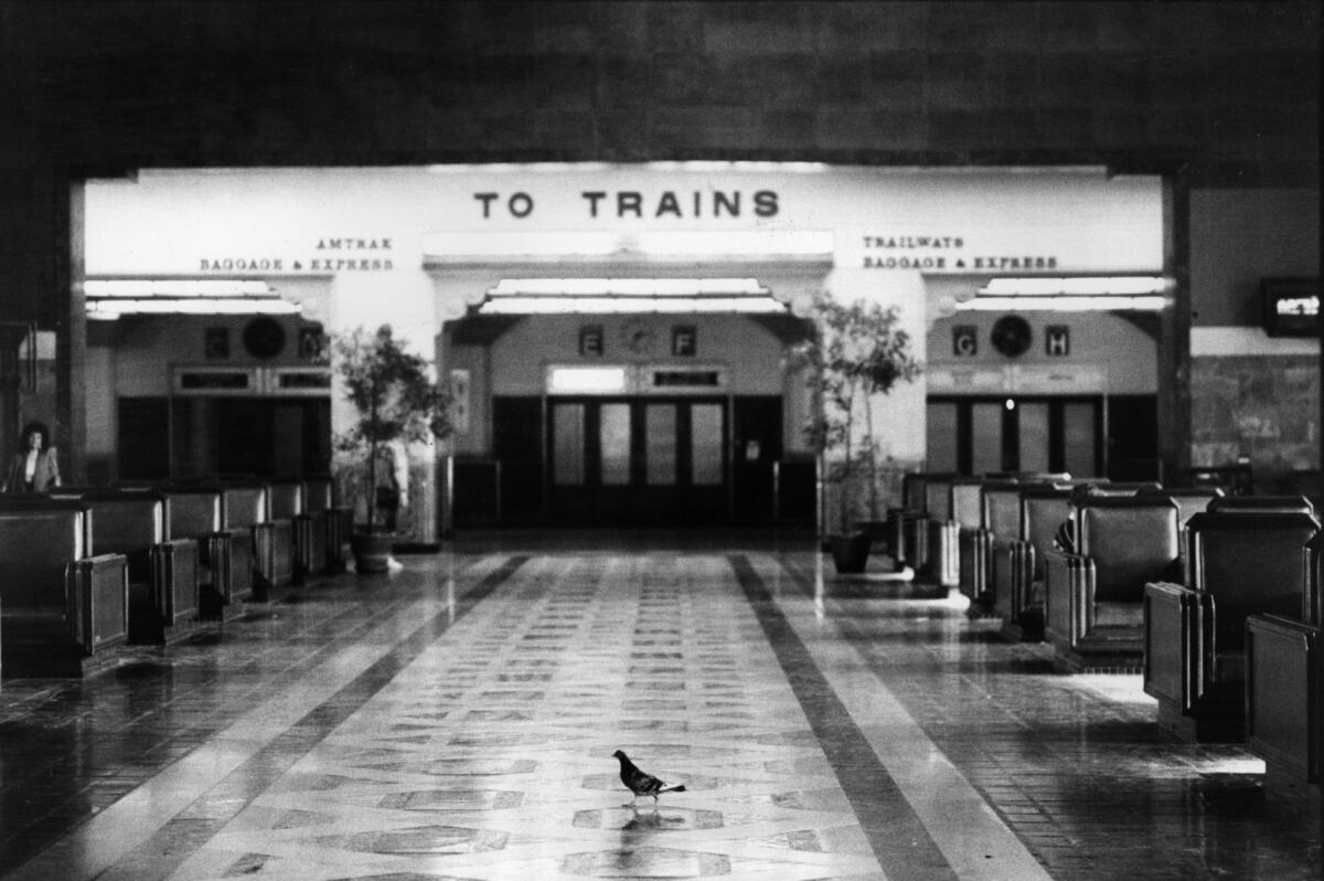 L.A. Metro has released a new rendering of what the Union Station of the future might look like. Seen here: the station in 1987, with a lone pigeon walking through.