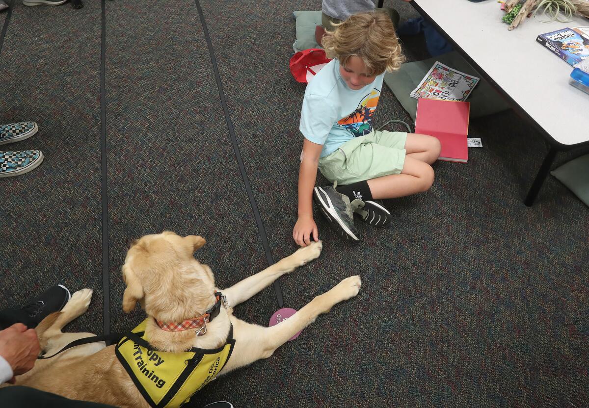 A student meets a guide dog in training Moby at Hope View Elementary School on Wednesday.