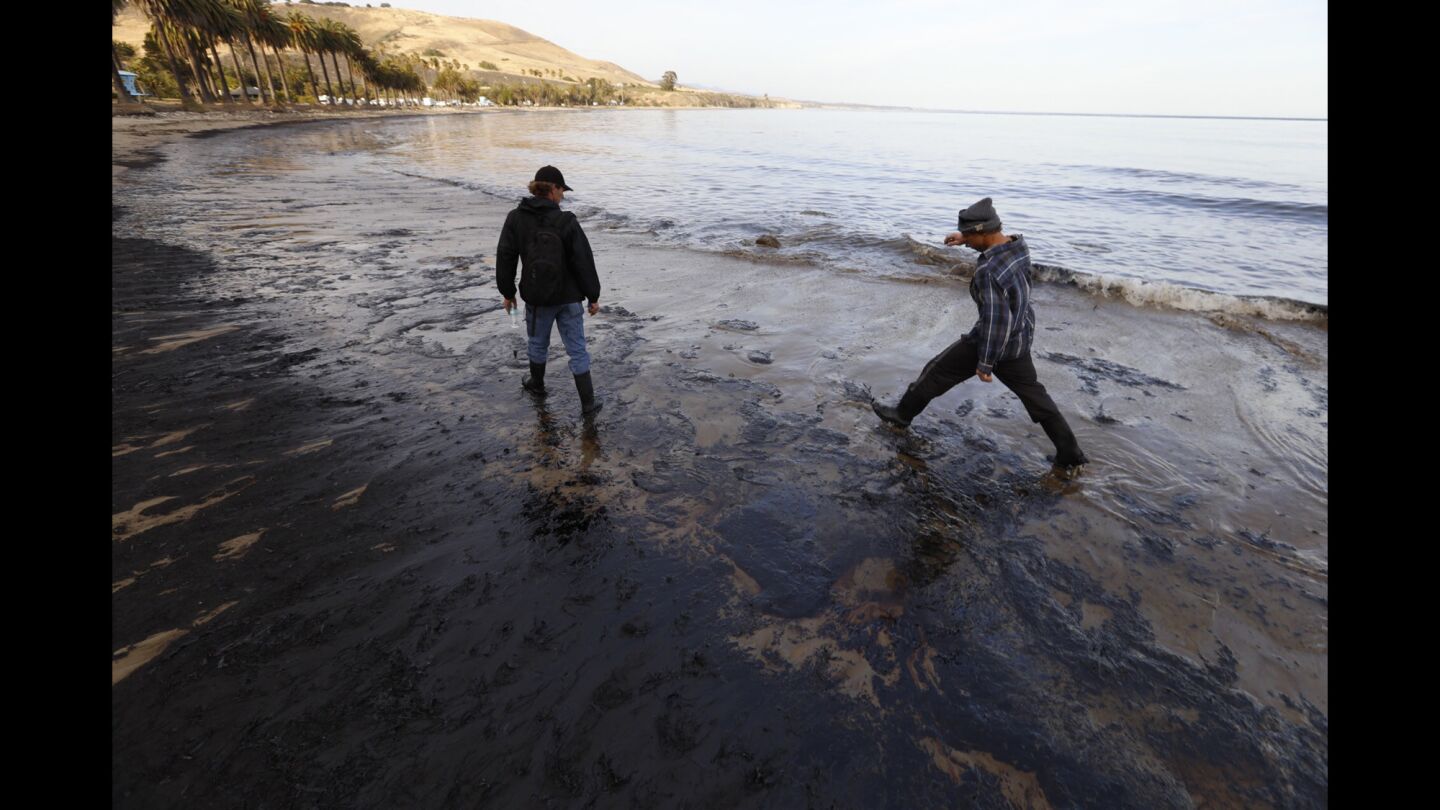Miller, left, and Josh Marsh, also of Santa Barbara, search of wildlife to aid.