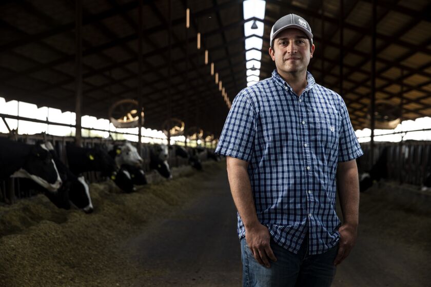 TURLOCK, CALIF. - OCTOBER 25: Devin Gioletti poses for a portrait in one of the barns that house dairy cows at Robert Gioletti & Sons Dairy on Thursday, Oct. 25, 2018 in Turlock, Calif. (Kent Nishimura / Los Angeles Times)