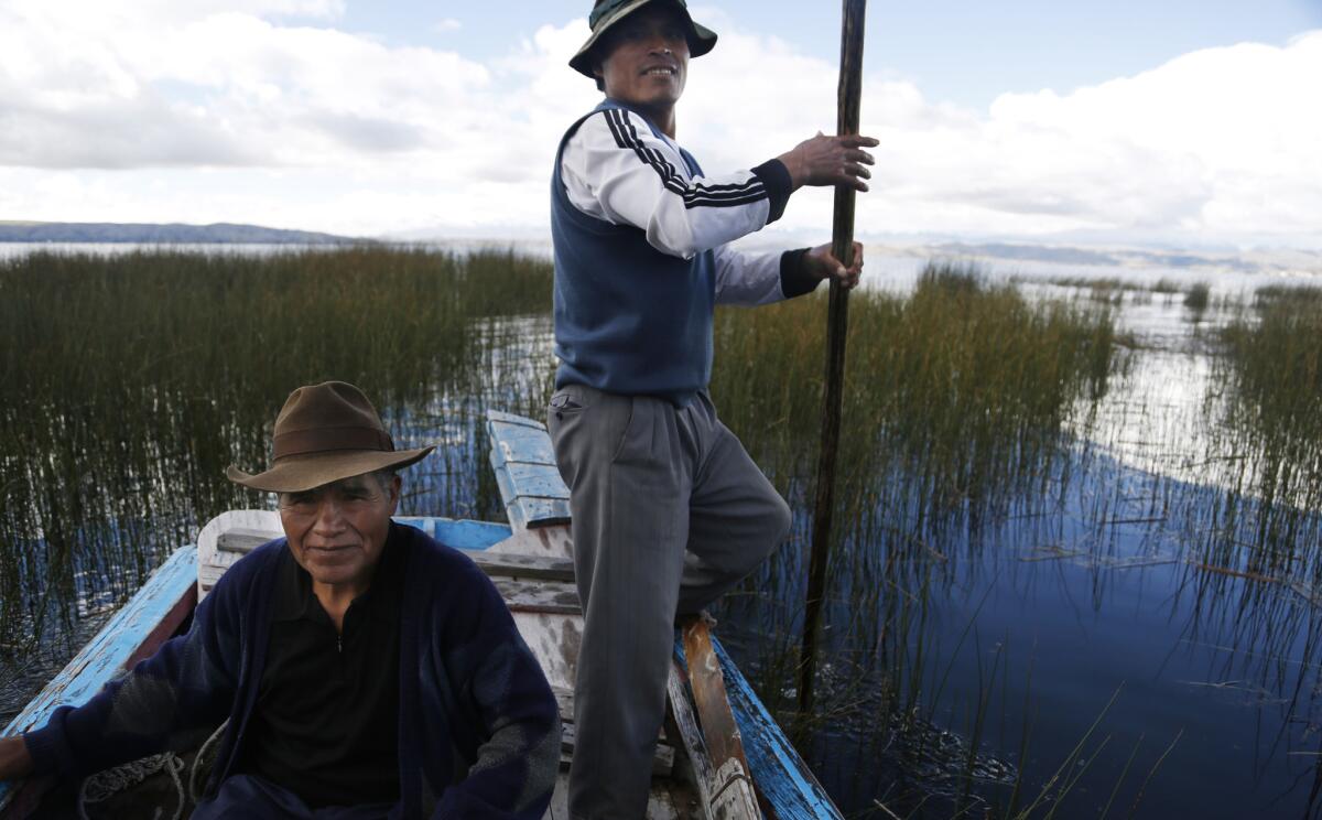 Esta foto del 25 de abril de 2015 muestra pescadores en el lago Titicaca en Pata Patani, Bolivia. La mortandad de las ranas gigantes del Titicaca, únicas en su especie y apetecidas por curanderos indígenas que le atribuyen poderes afrodisiacos, enciende las alarmas entre los lugareños aymara, quienes dicen que la contaminación está diezmando especies nativas y afectando su forma de vida tradicional (AP Foto/Juan Karita)