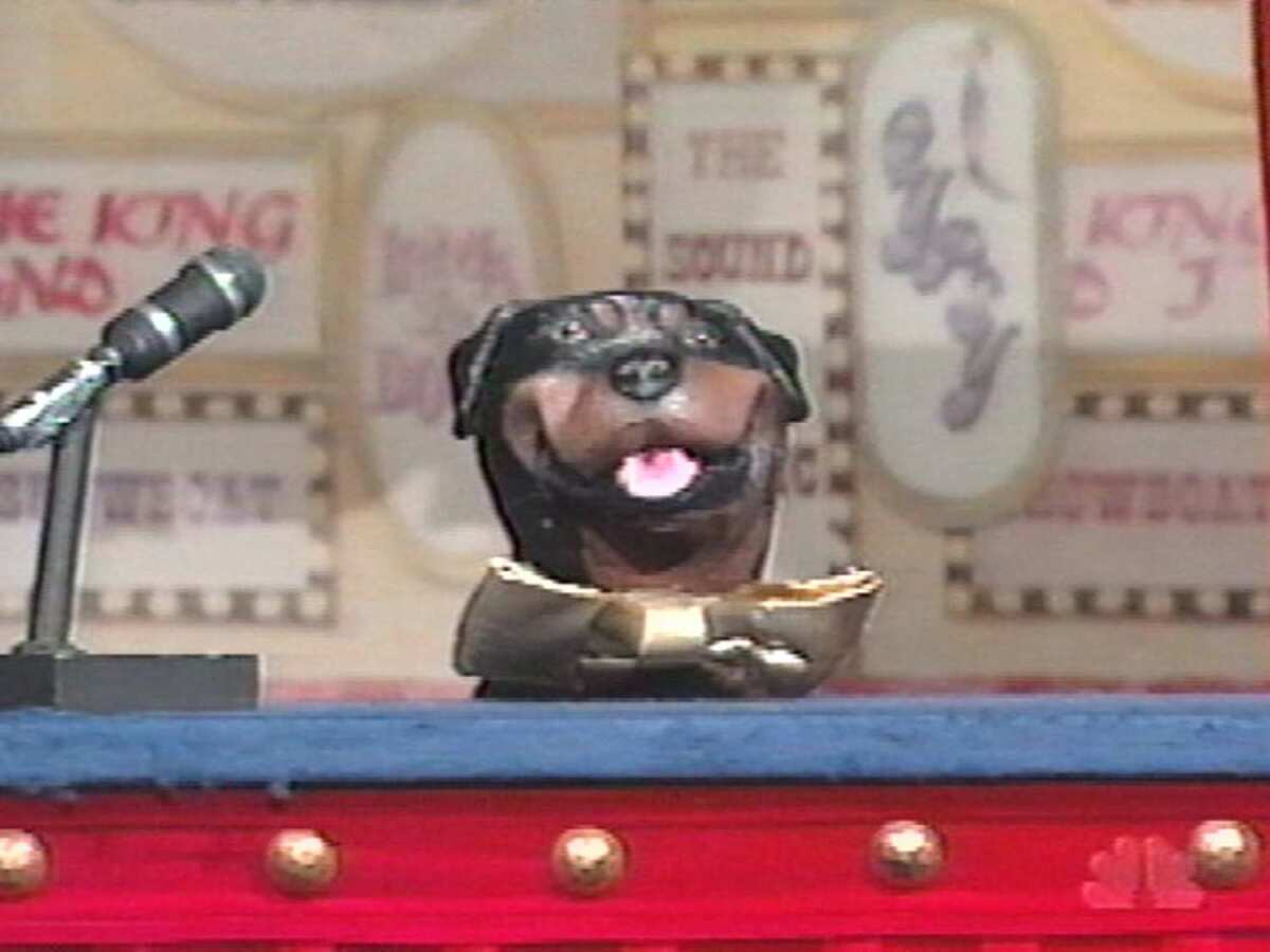 Triumph, the Insult Comic Dog