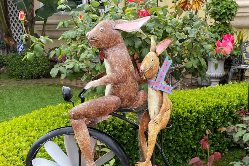 Bike-riding bunnies add a sense of fun to this backyard.