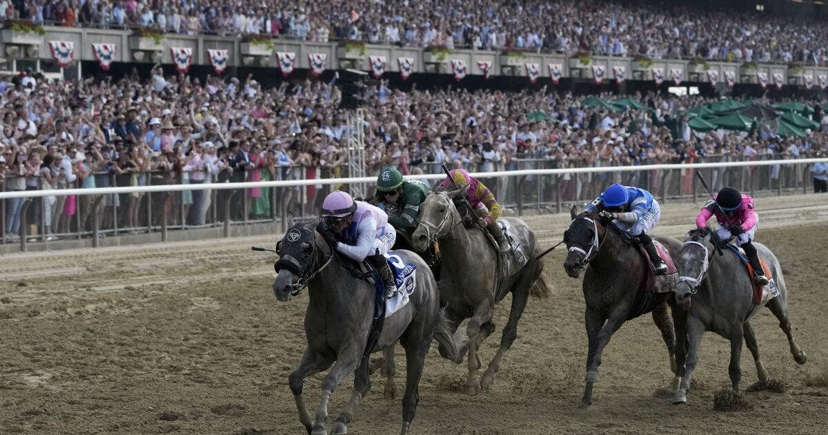 Horse death Sunday at Belmont Park brings up toll to six