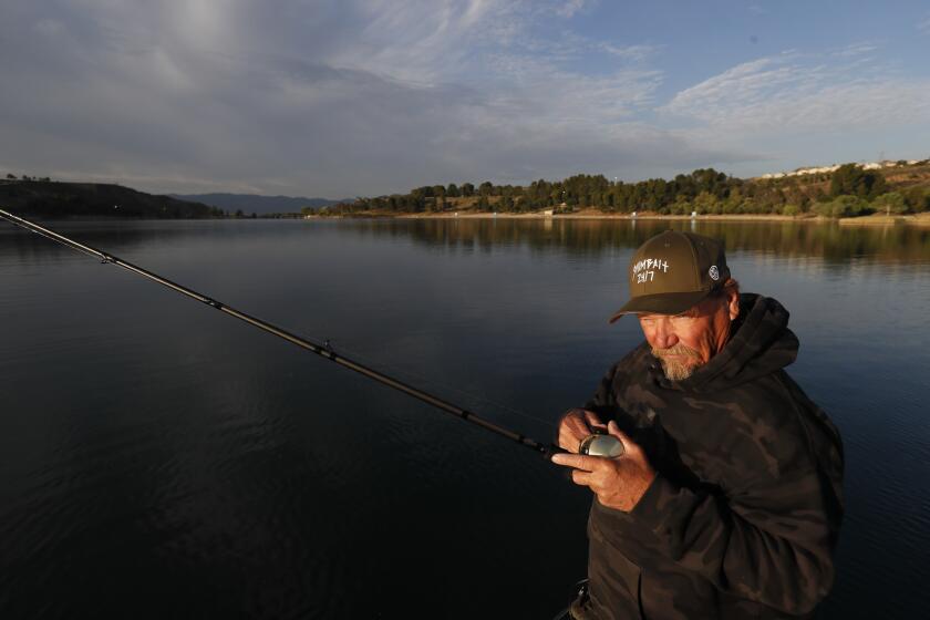 Castaic, CA, Tuesday, April 26, 2022 - In the world of swimbait fishing Butch Brown stands apart from the crowd of trophy hunters. The numbers of fish over 10 pounds he has to his credit is mindboggling - 1,500 bass over that magical mark. Brown is fishing at Castaic Lake. (Robert Gauthier/Los Angeles Times)