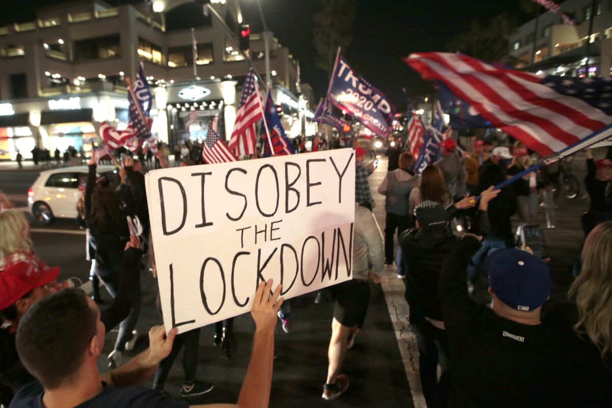 "Disobey the lockdown" reads a sign held by a protester, among a crowd of demonstrators carrying U.S. and Trump flags.