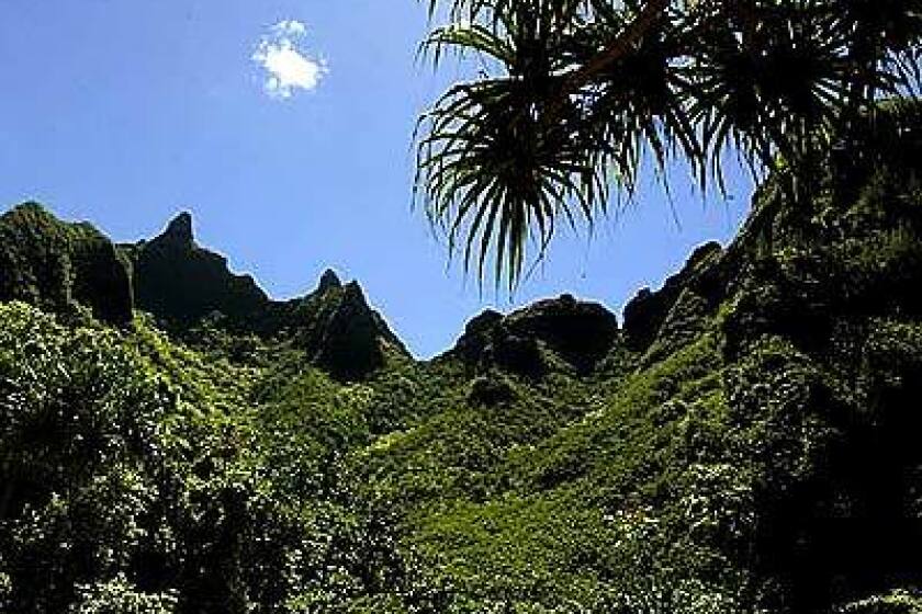 Part of the National Tropical Botanical Garden, Limahuli Garden, at the northern end of Kauai, focuses on tropical plants' conservation, research and public education.