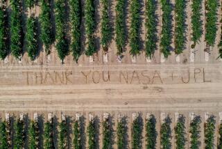 Lodi, California--Drone images of grapevines in Lodi, California taken by Stephanie Bolton on behalf of the Lodi Winegrape Commission and Aaron Lange. Cornell NASA JPL (Stephanie Bolton/Lodi Winegrape Commission)