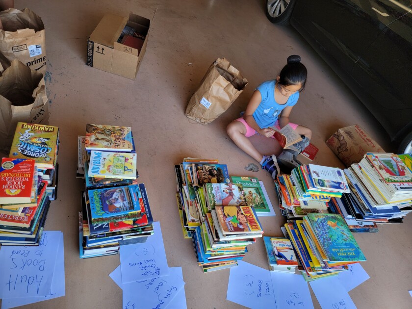 Volunteers organized the book donations.