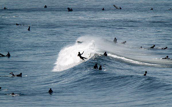 Surfing in San Diego County