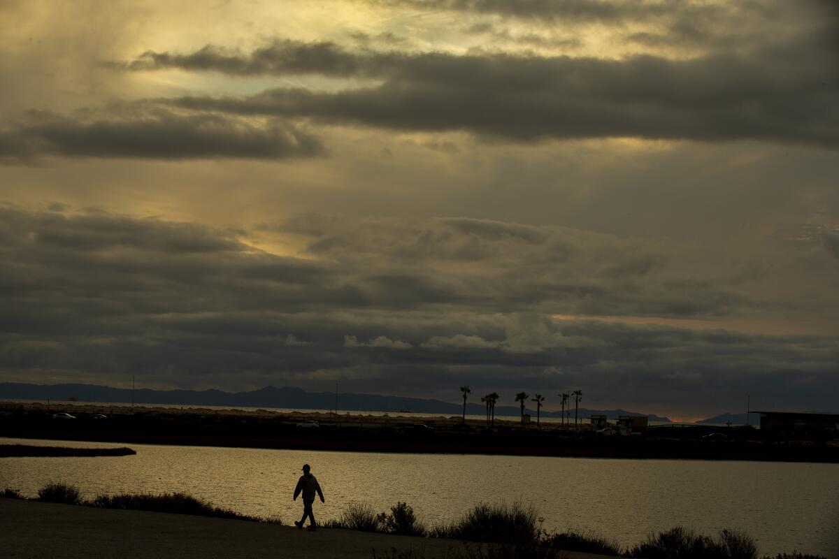 Dark storm clouds over coastal wetlands