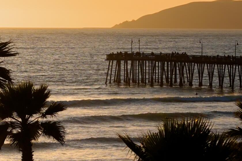 Pismo Beach scenes