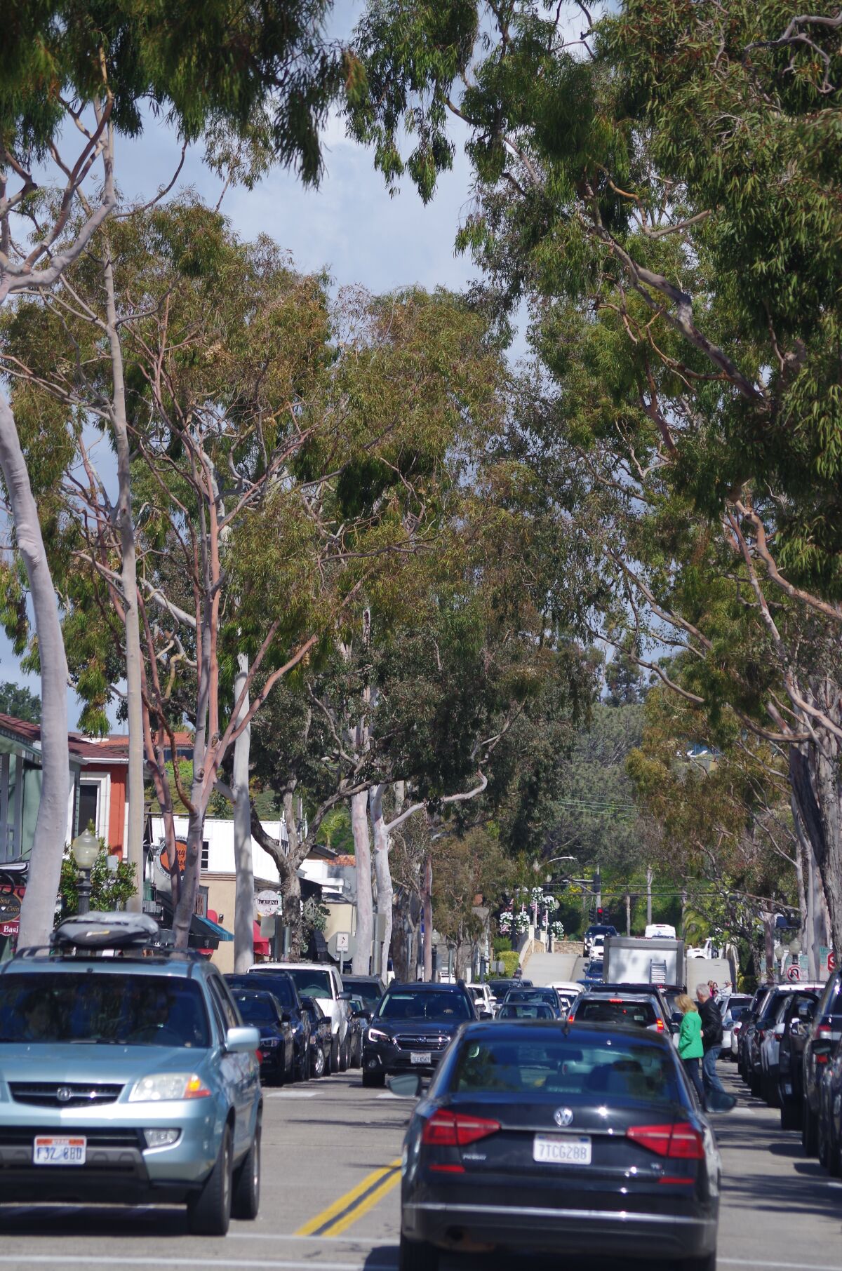 “Marine Avenue is our driveway,” said Jim Moloney, a member of the Balboa Island Preservation Assn. “There are 1,800 homes on the island. There are 4,400 residents. And everybody who comes home ... sees those trees.”