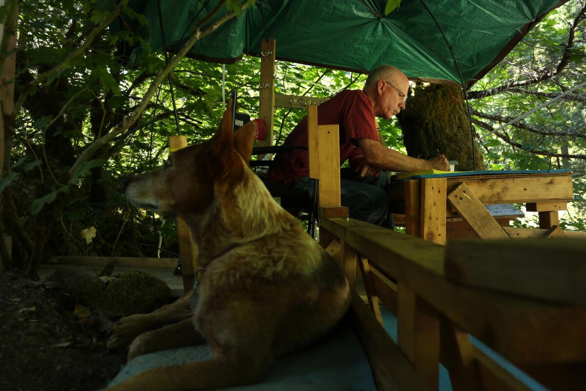 At his perch above the pool, Lee Spencer jots down an observation into his notebook. Spencer has been keeping a notebook here for nearly 20 years. (Katie Falkenberg / Los Angeles Times)