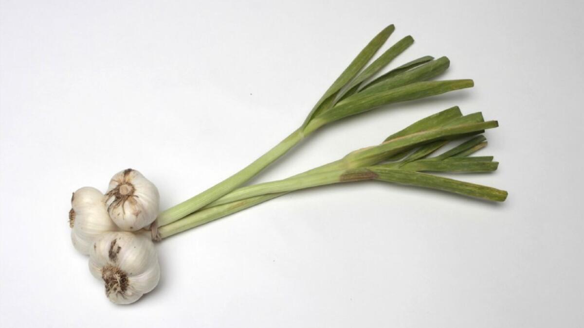 Green garlic.