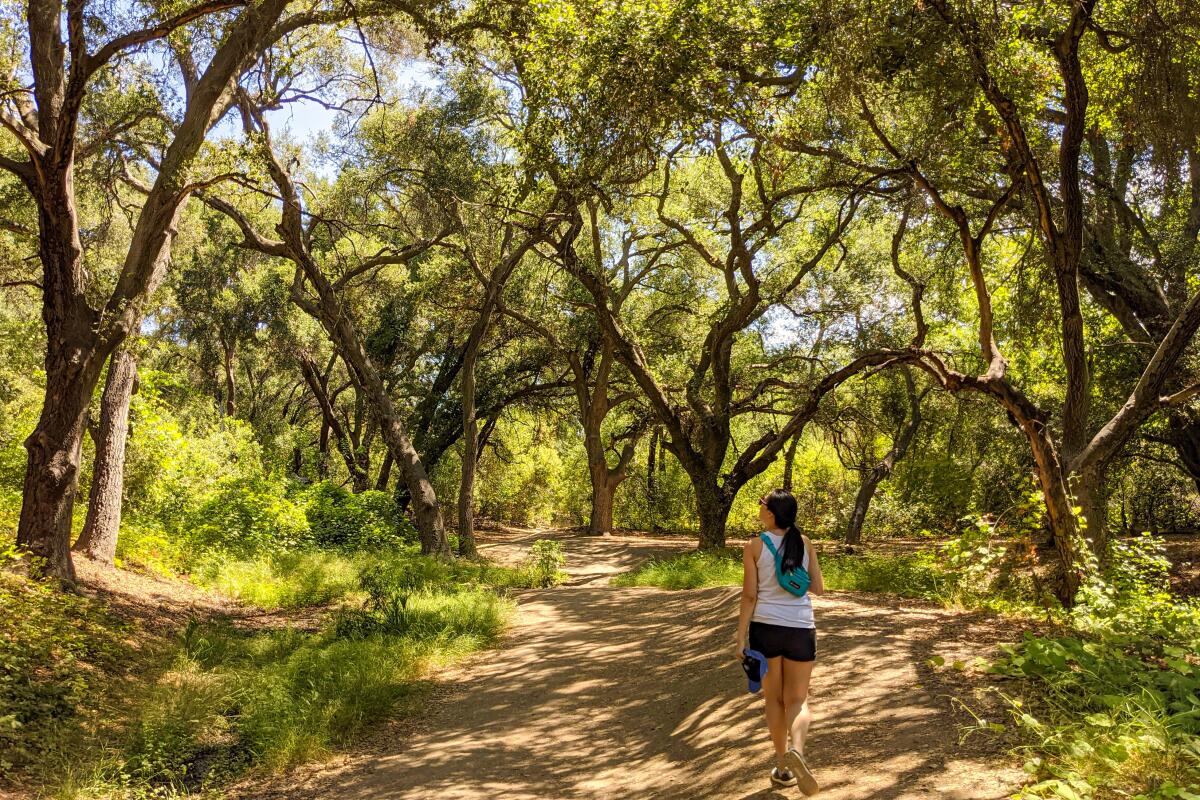The 12 best hiking trails in Orange County - Los Angeles Times