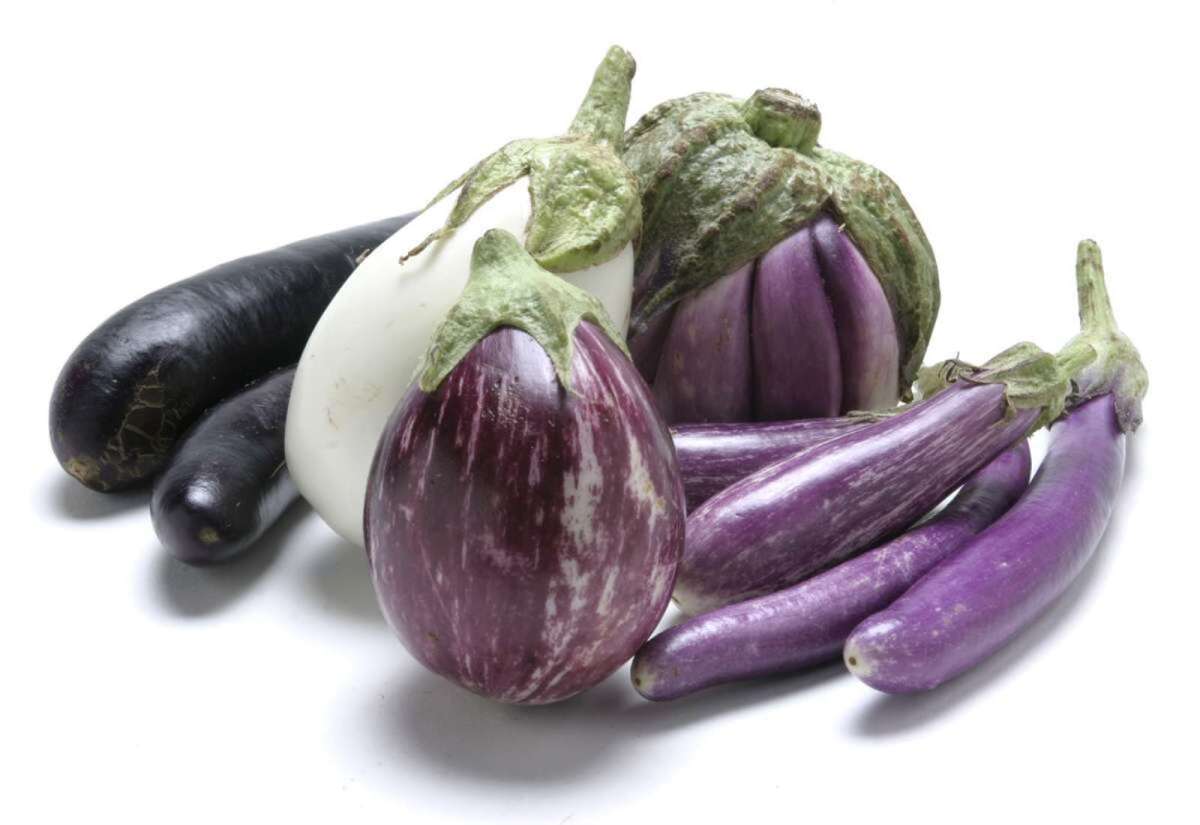 Seasonal eggplant, left to right: Chinese, White Cloud, Rosa Blanca, Fairytale, Marcha, and, in the foreground, Calliope.