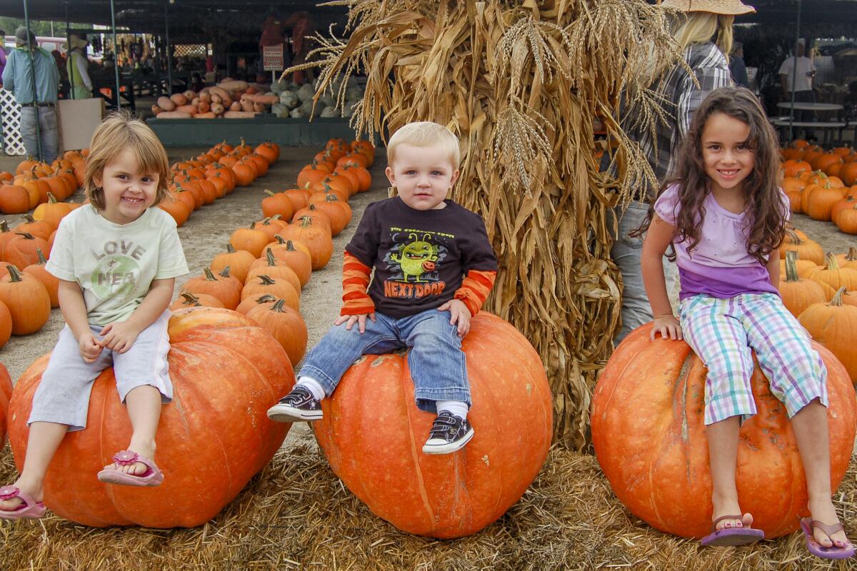 Children sit on pumpkins at Forneris Farms.