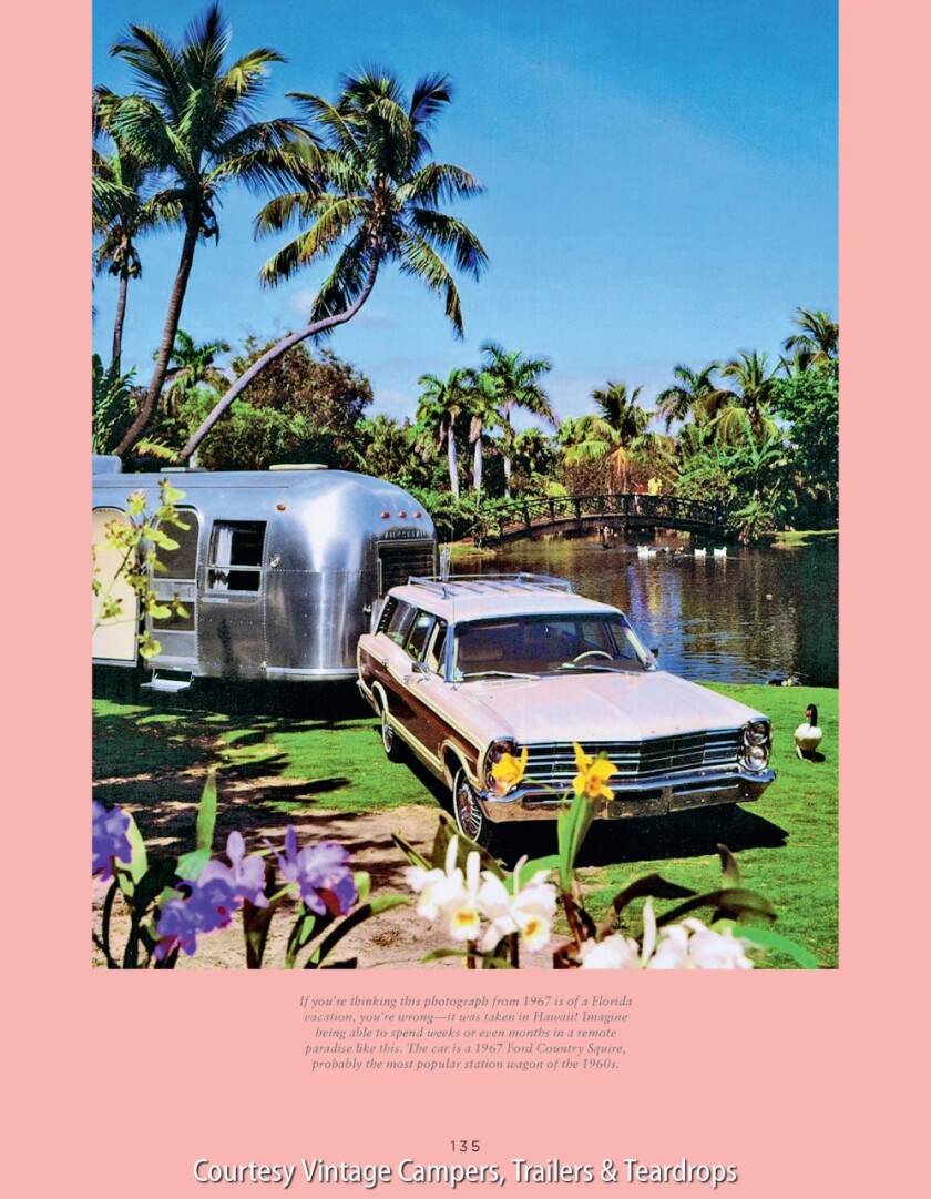 Airstream trailer at a campsite