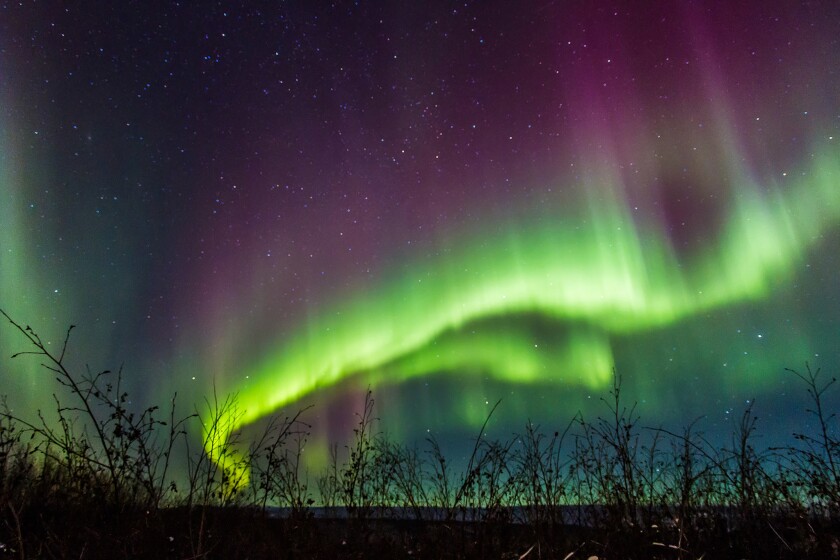 See Alaska's captivating Northern Lights on this Fairbanks tour Los