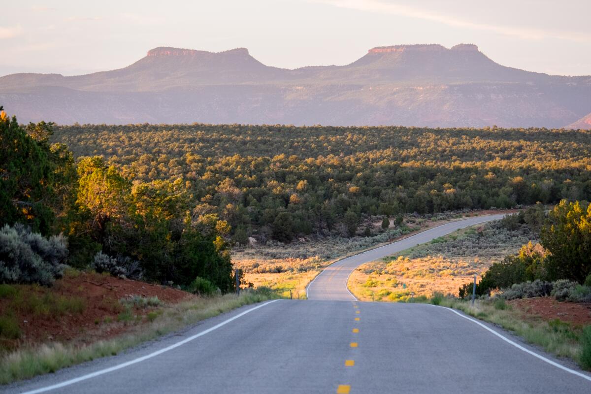 Road with Bears Ears buttes in the distance 