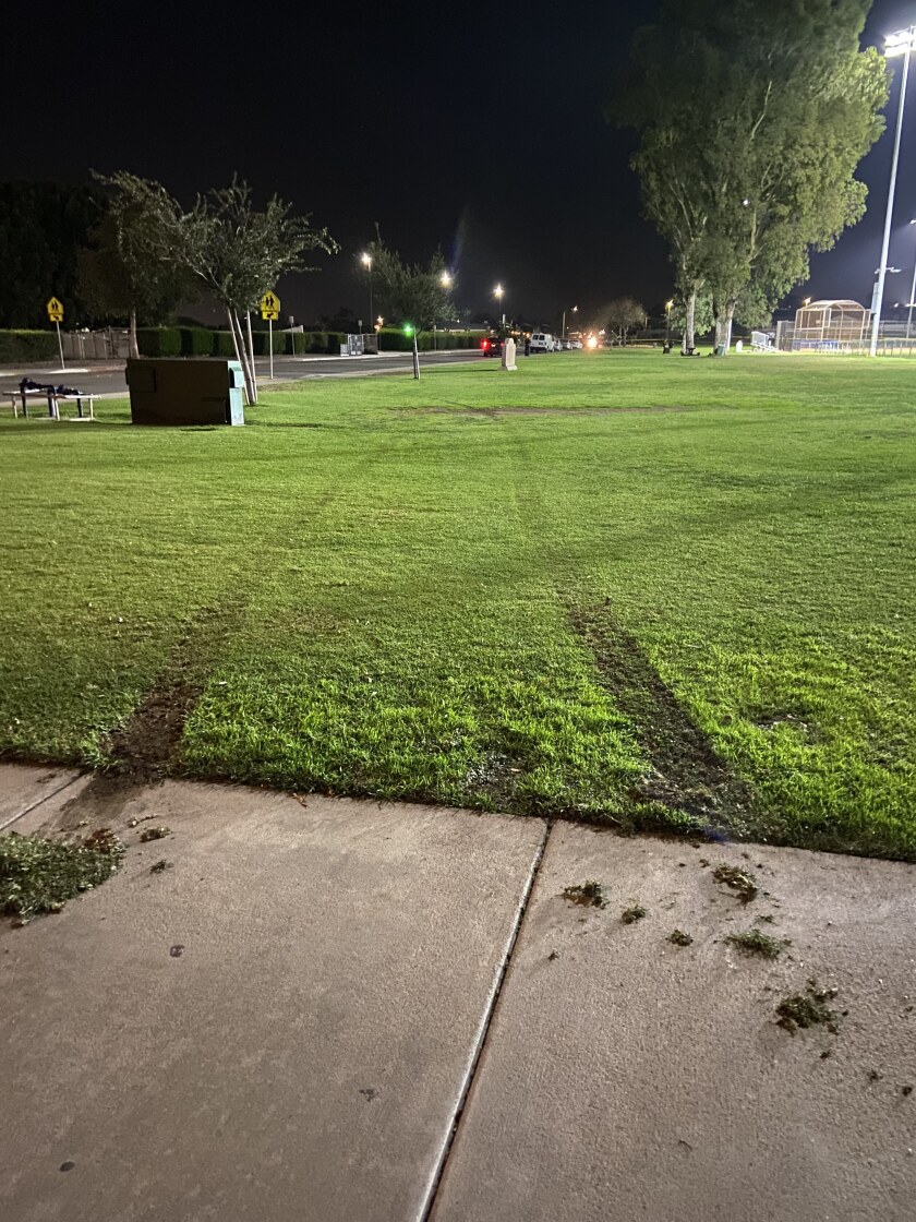 Tire tracks in the grass hours after his Octavio Mendoza was struck and killed riding a bicycle.