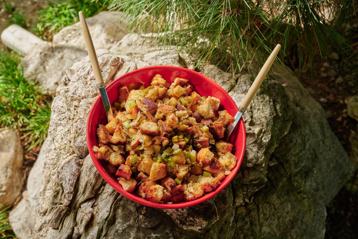 A red bowl filled with stuffing sits on a large aboveground tree root.