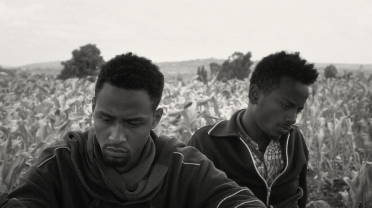 A black-and-white image of two young men in a field from the documentary “Faya Dayi.”