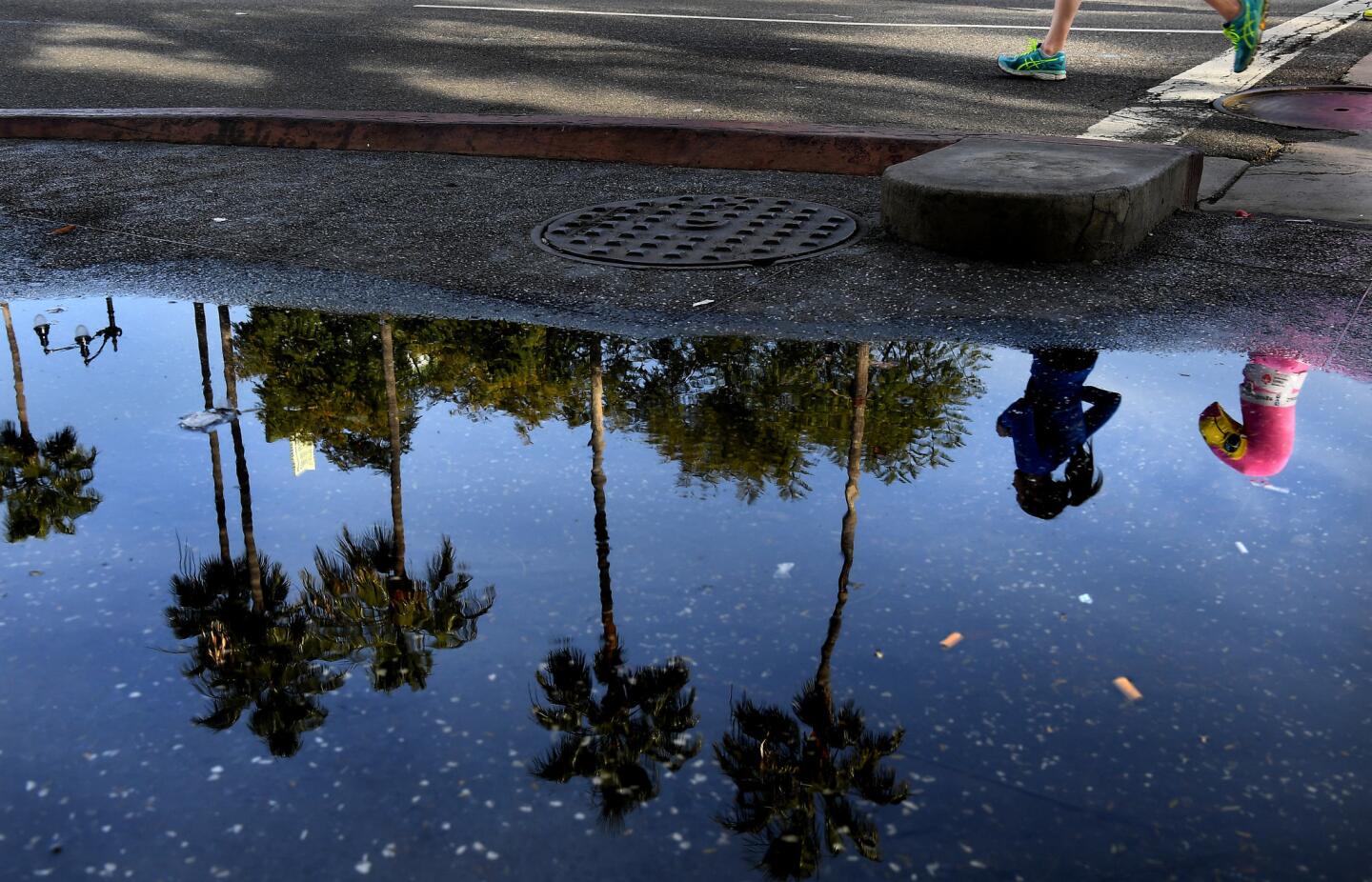 Competitors run are reflected in a puddle of water along Hollywood Blvd. during the L.A. Marathon.