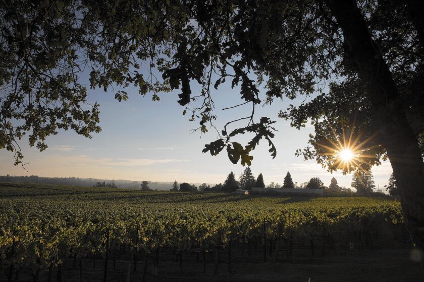 Wineries in Sonoma County, considered agricultural operations, are only now being asked to cut back water use.