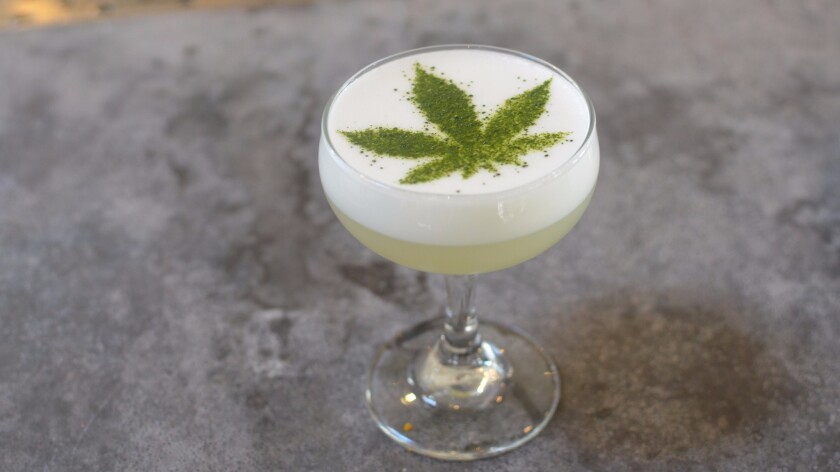 The Sour T-iesel cocktail available at Gracias Madre in West Hollywood and Gratitude in Newport Beach. The drink is made with CBD oil and a vegan egg white substitute.