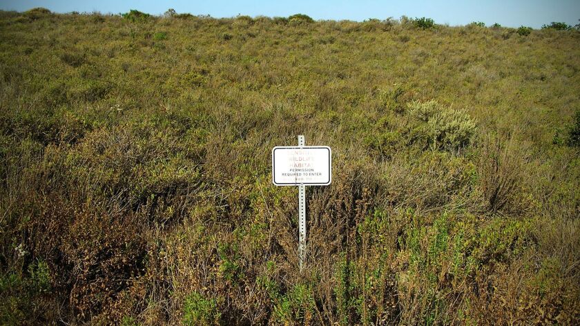 Coastal sage scrub is pictured on the closed Coyote Canyon landfill in Newport Beach in 2014. FuelCell Energy Inc. plans to make renewable biofuel on the site.