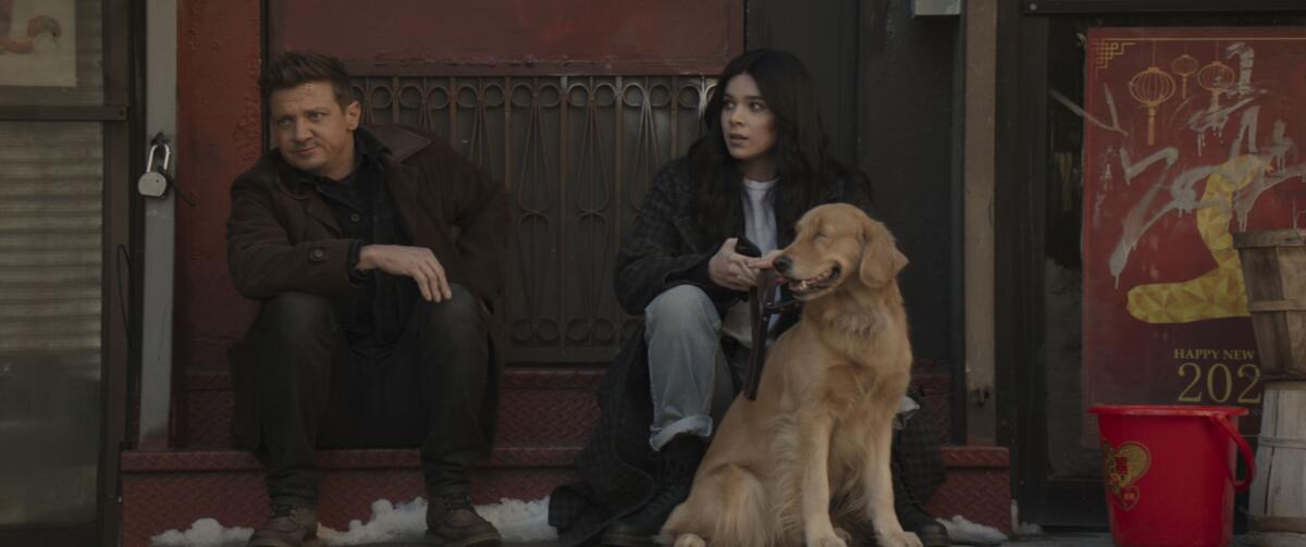 A man, a woman and a dog on a porch
