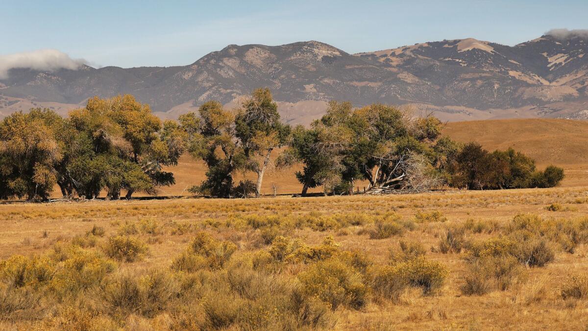 A view of the site of the proposed Centennial project on Tejon Ranch from Highway 138 with the Blue Ridge Mountains in the backdrop in October.