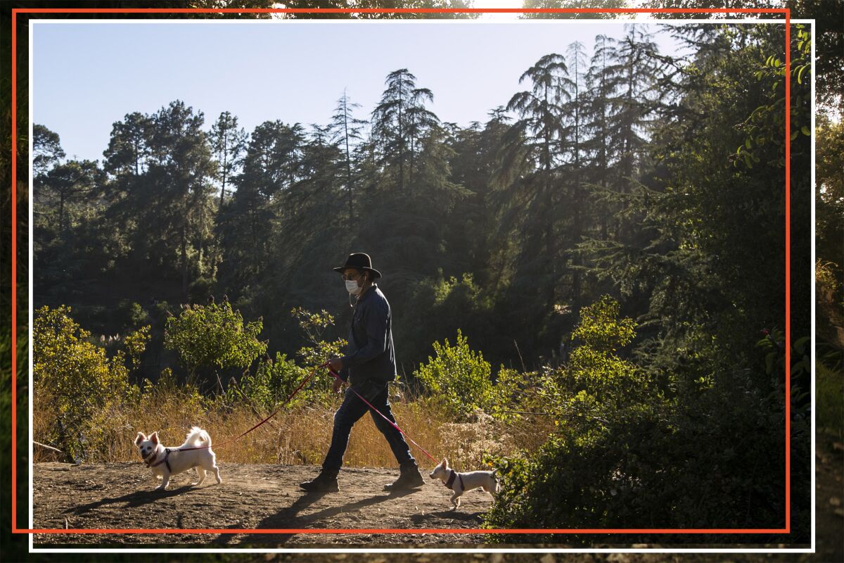Eric Nordhauser walks his two dogs at Franklin Canyon Reservoir.
