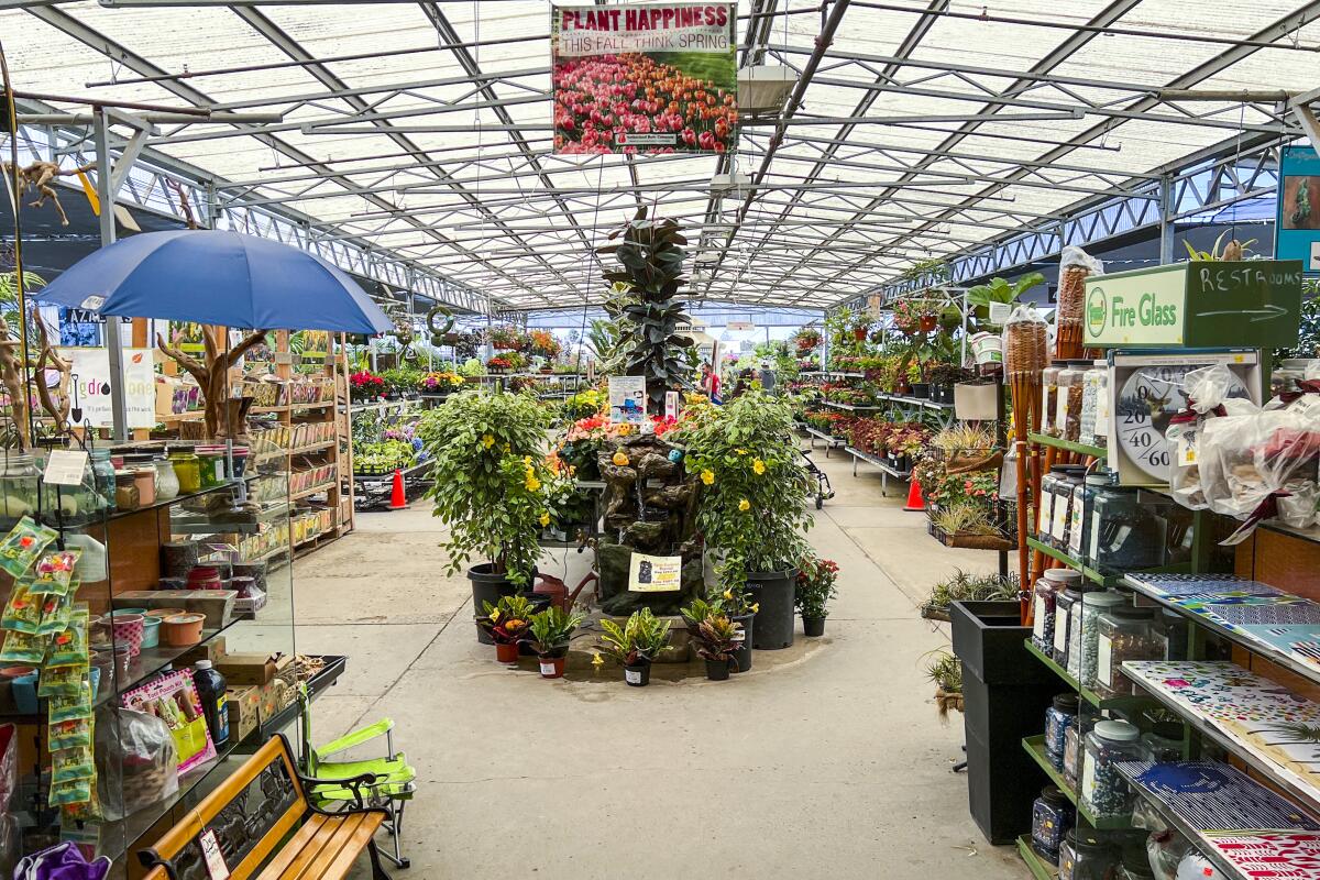 Plants and gardening accessories under a glass and metal roof at a Green Thumb Nursery store.