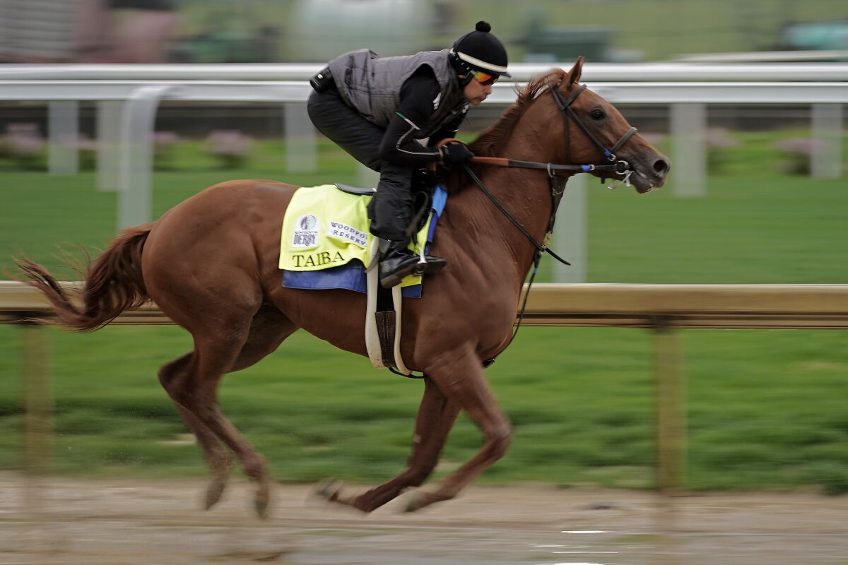 Kentucky Derby entrant Taiba works out at Churchill Downs on Tuesday.