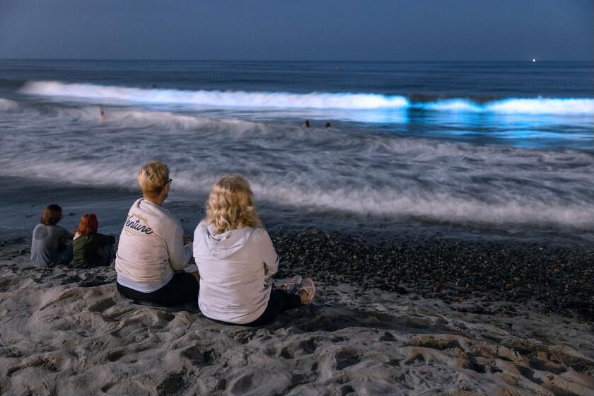 ENCINITAS, CA - AUGUST 30, 2023: Andie Cajuste, left, and Laura Ross watch waves break with a bioluminescence glow, due to what appears to be a red tide, at Moonlight Beach in Encinitas on Wednesday, August 30, 2023. (Hayne Palmour IV / For The San Diego Union-Tribune)