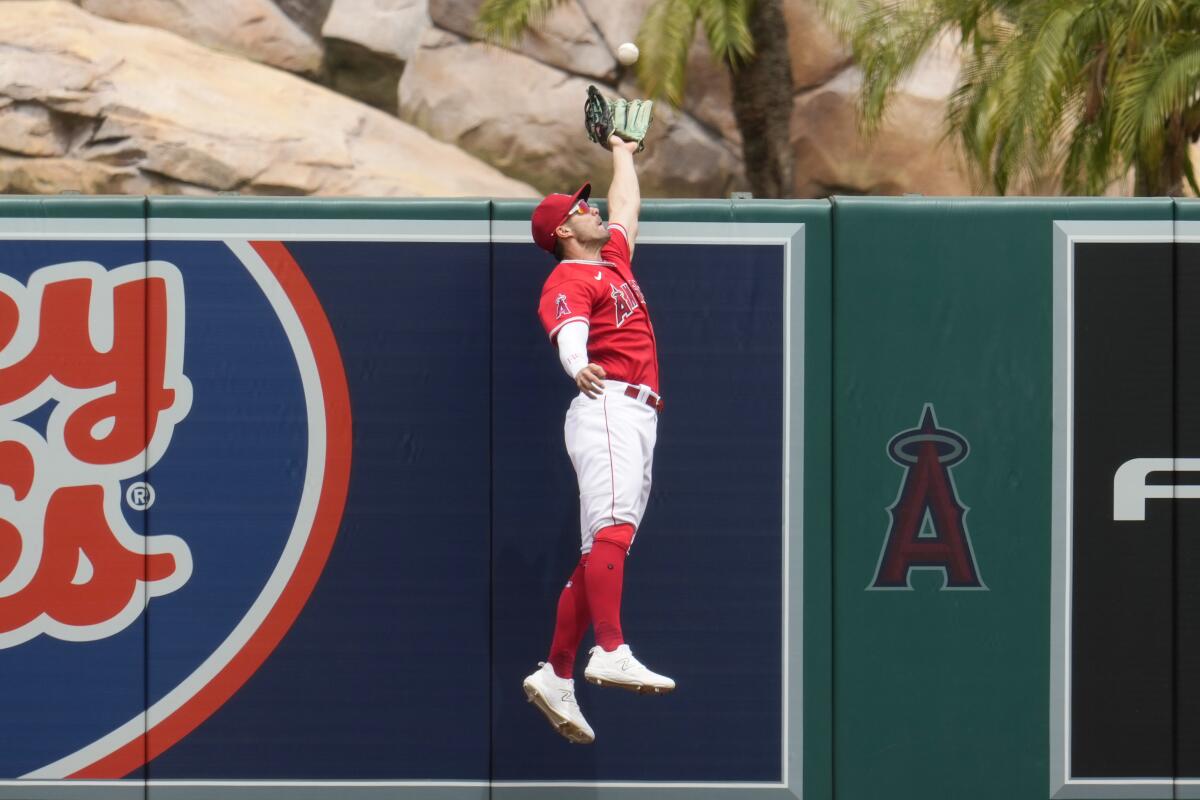 Los Angeles Angels left fielder Randal Grichuk leaps at the wall to catch a fly ball.
