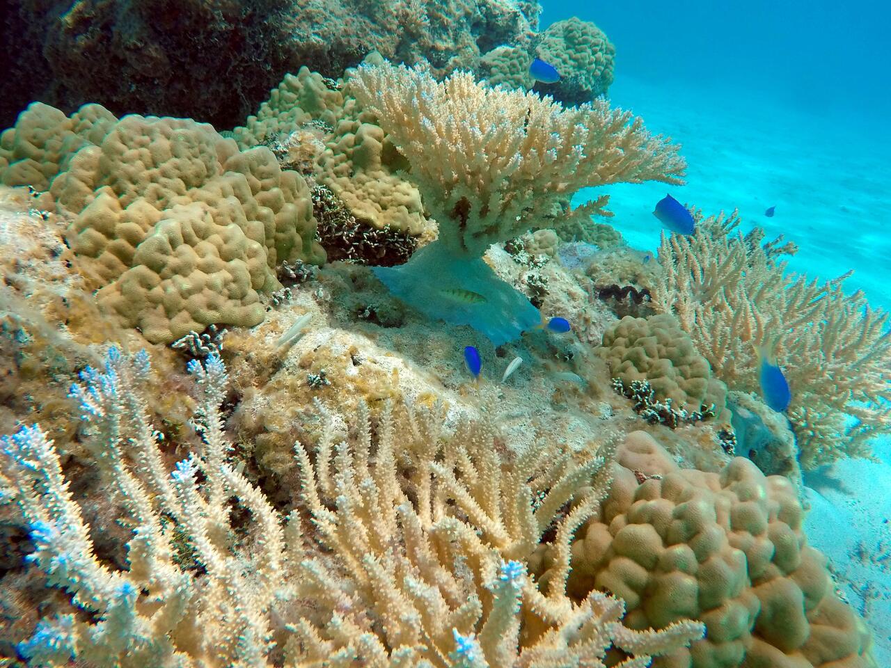 Rangiroa, French Polynesia