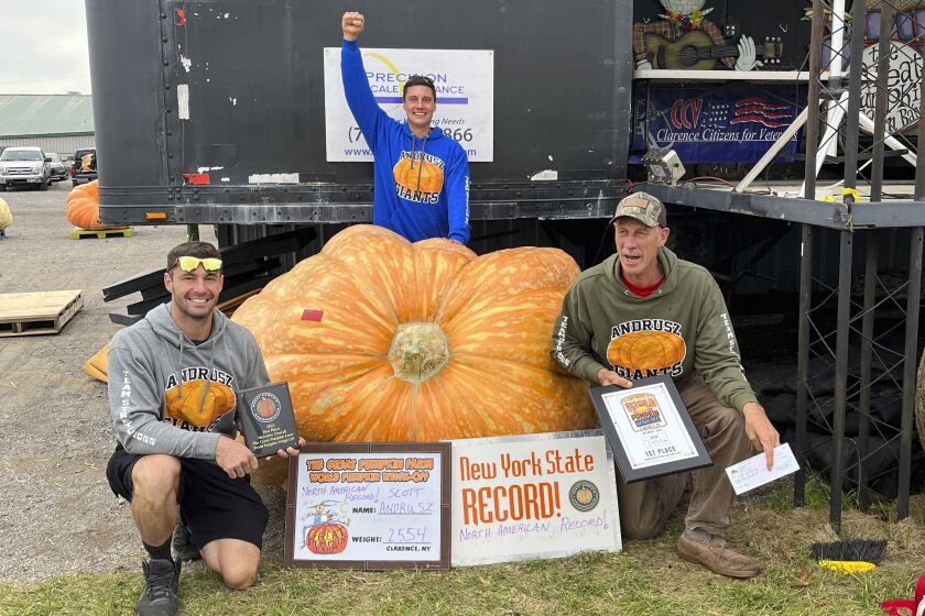 De izq a der: Emmett Andrusz, Steve Andrusz y Scott Andrusz con la calabaza gigante en Clarence, Nueva York, el 1 de octubre del 2022. Foto cortesía de la Great Pumpkin Farm (The Great Pumpkin Farm via AP)