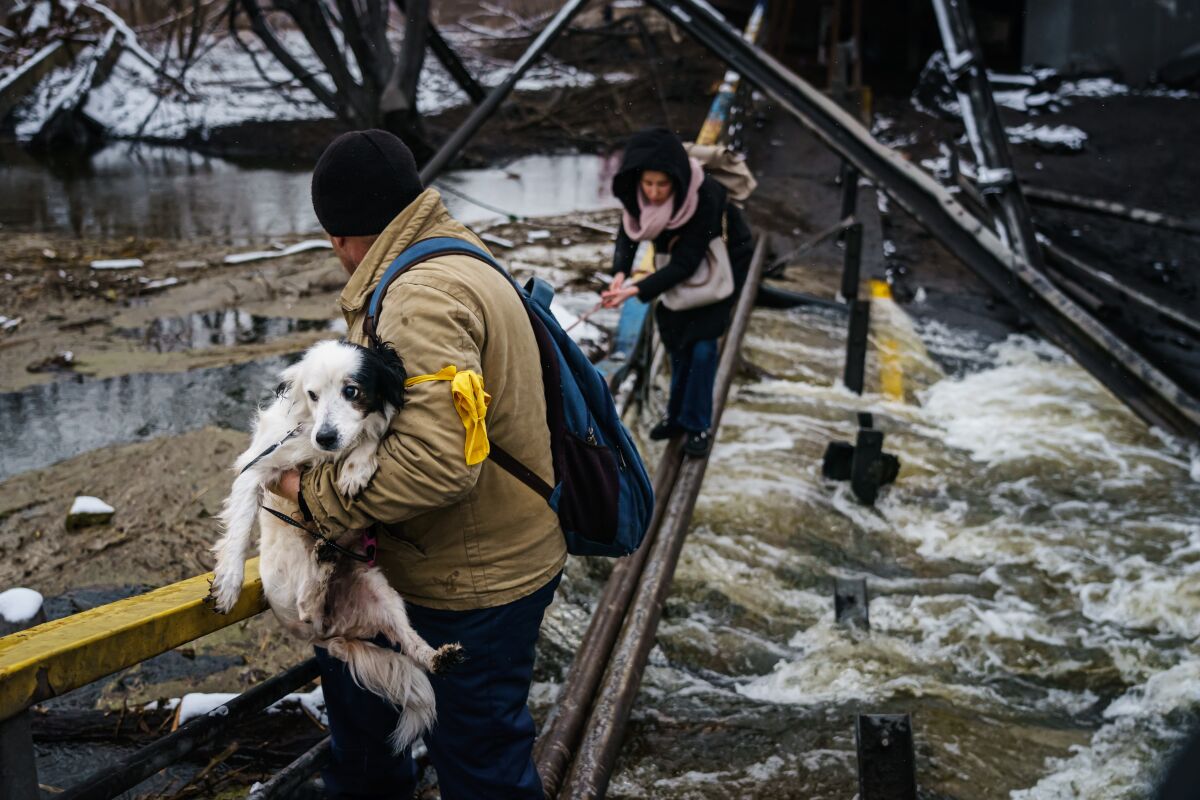 A man holds a dog and guides a woman in a dark coat as she balances on a thin beam over rushing water.