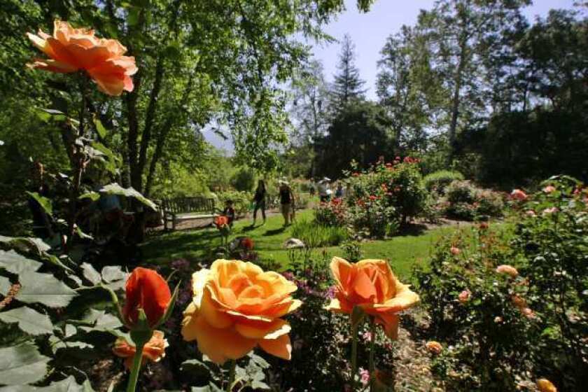 Descanso Gardens in La Cañada-Flintridge in 2009. (Photo by Irfan Khan / Los Angeles Times)