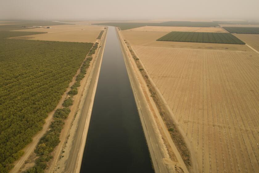 The California Aqueduct brings water through Cantua Creek. The drought in the Central Valley is taking its toll of farmworkers with reduced hours and jobs evaporating like the limited water resources.