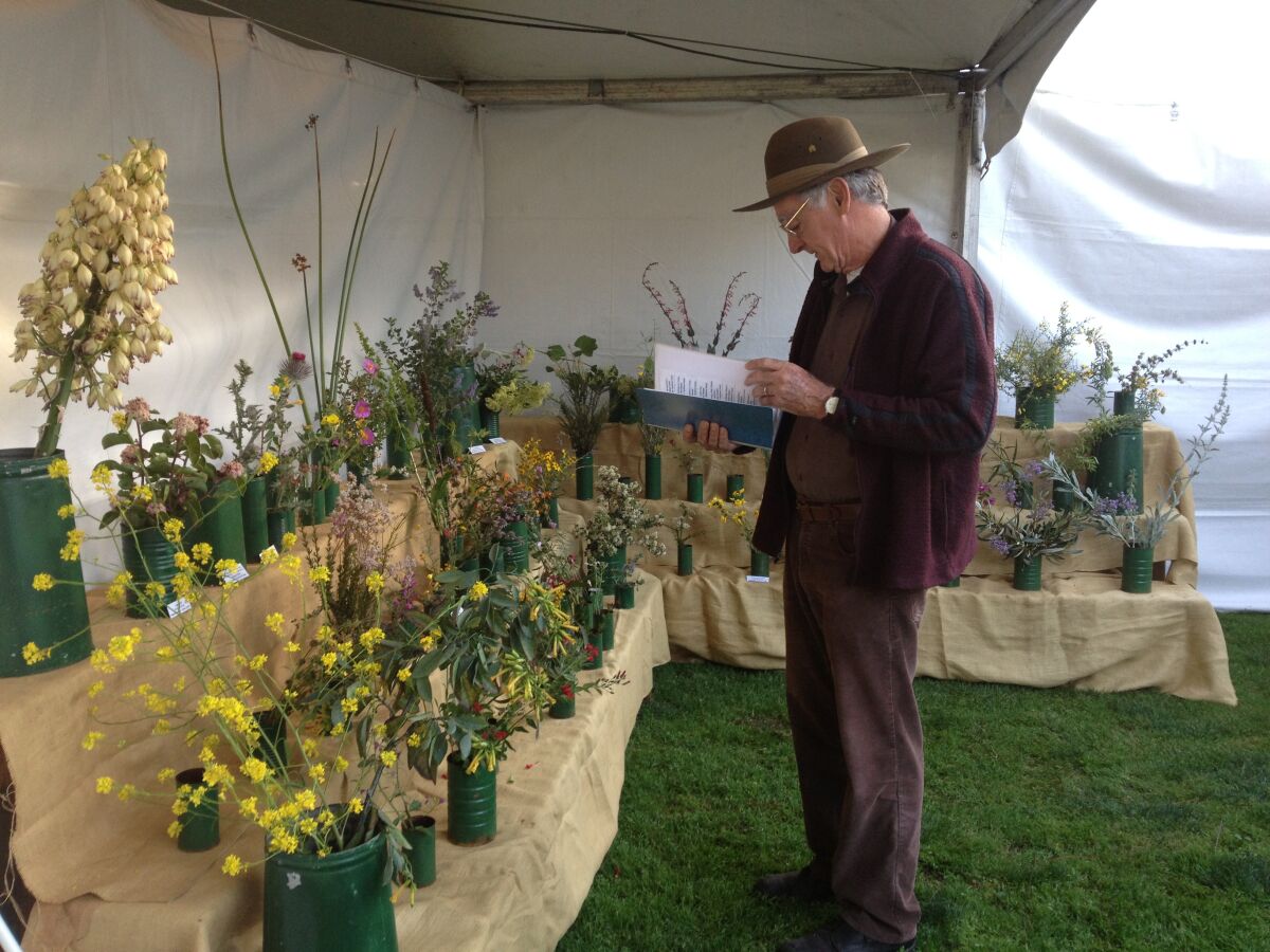 A man studies the plants, including wildflowers, in a horticulture exhibit.